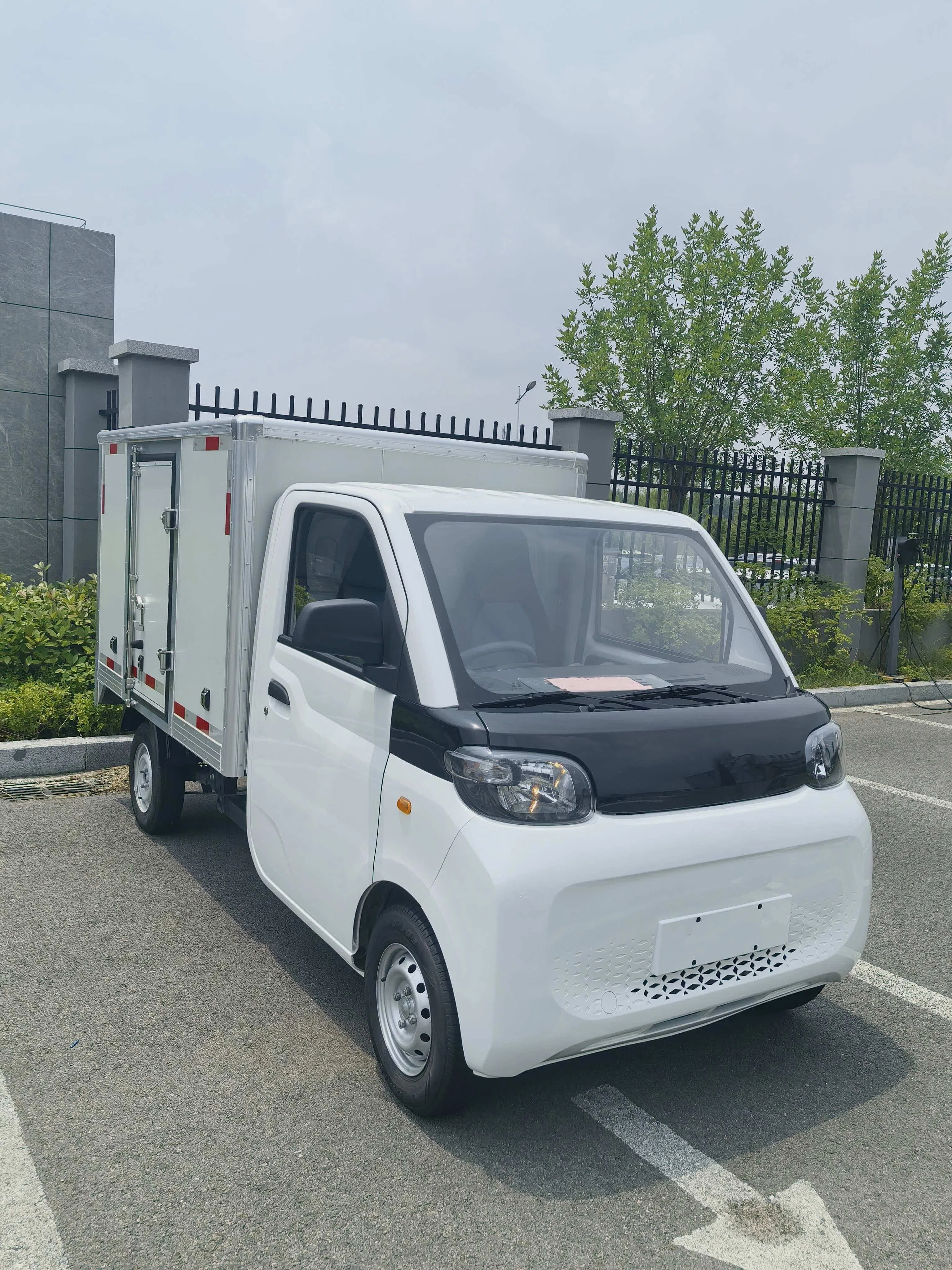RHD Pure Electric Mini Truck
